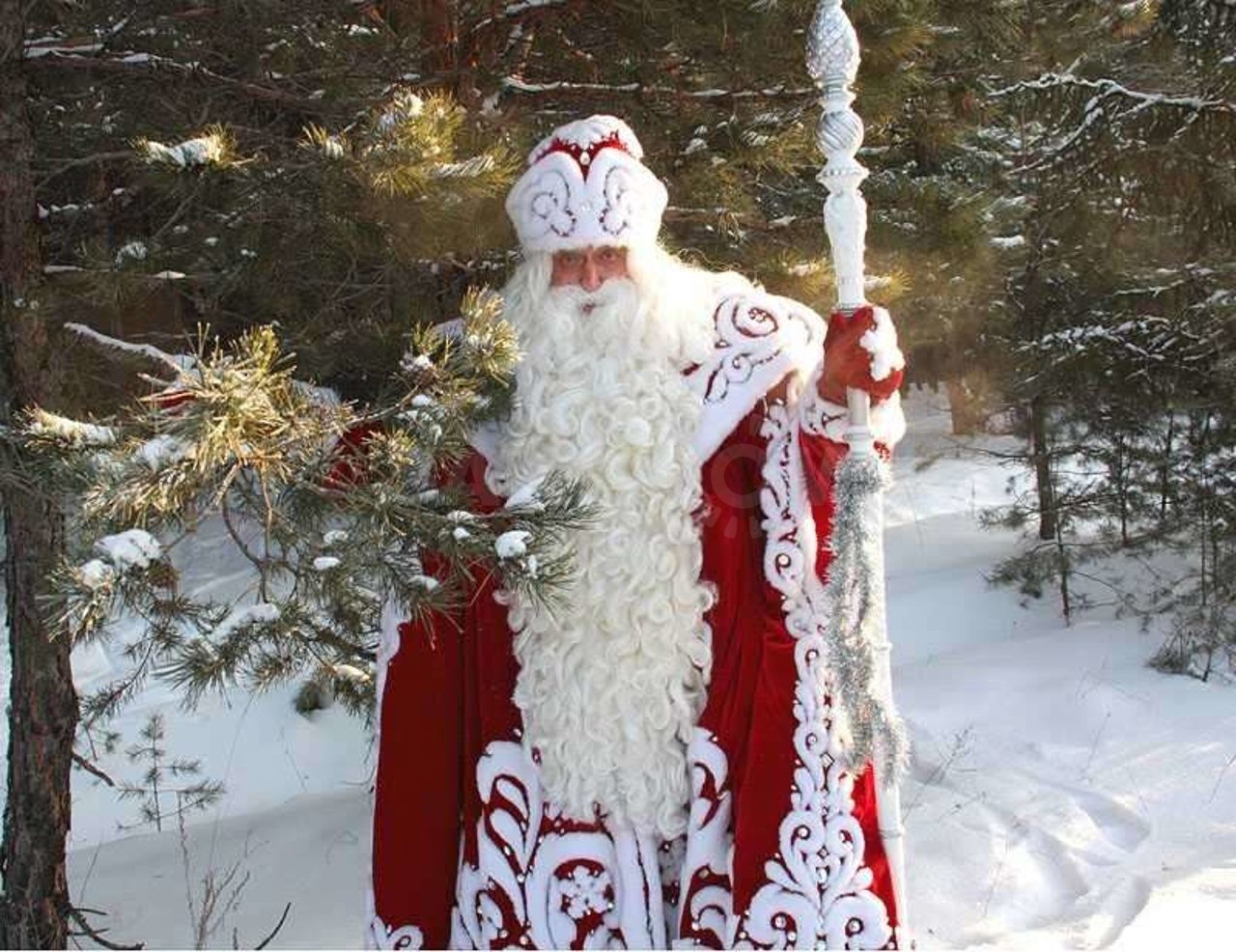 Дед Мороз в гостях у сказки